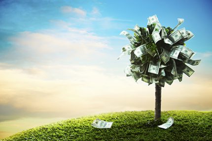 photo of tree made of dollars